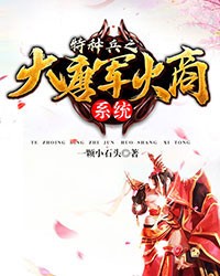 大唐军火商系统