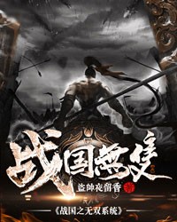战国之无双系统