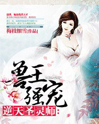逆天圣灵师