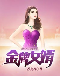 金牌女婿