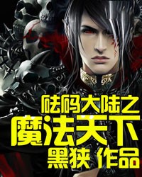 砝码大陆之魔法天下