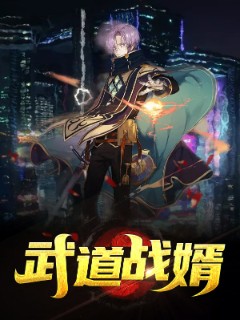 武道战婿