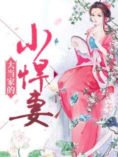 大当家的小悍妻