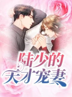 陆少的天才宠妻