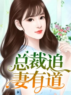 总裁追妻有道