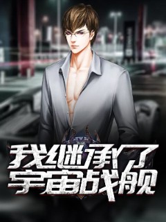 我继承了宇宙战舰