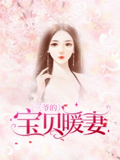 三爷的宝贝暖妻