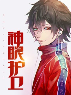 神眼护卫