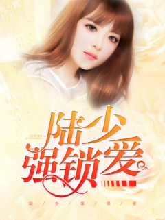 陆少强锁爱