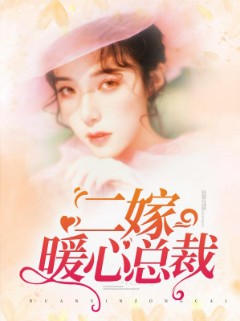 二嫁暖心总裁