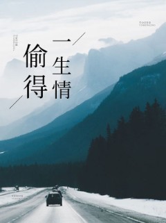 偷得一生情