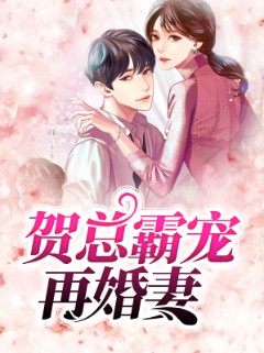 贺总霸宠再婚妻