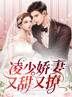 凌少娇妻又甜又撩
