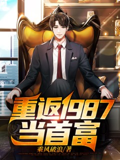 重返1987当首富