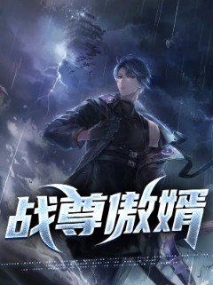 战尊傲婿