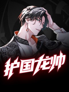 护国龙帅