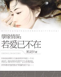 若爱已不在
