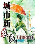 城市新农民