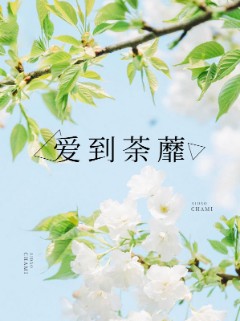 爱到荼蘼