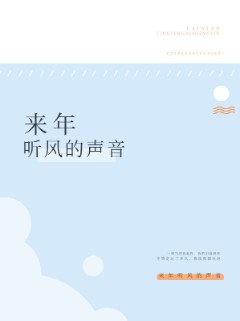 来年听风的声音