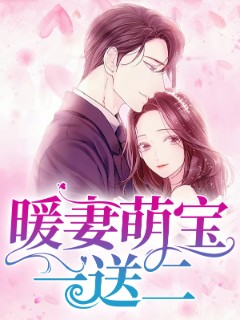 暖妻萌宝一送二