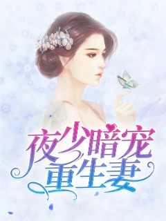 夜少暗宠重生妻