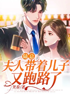 陆总，夫人带着儿子又跑路了